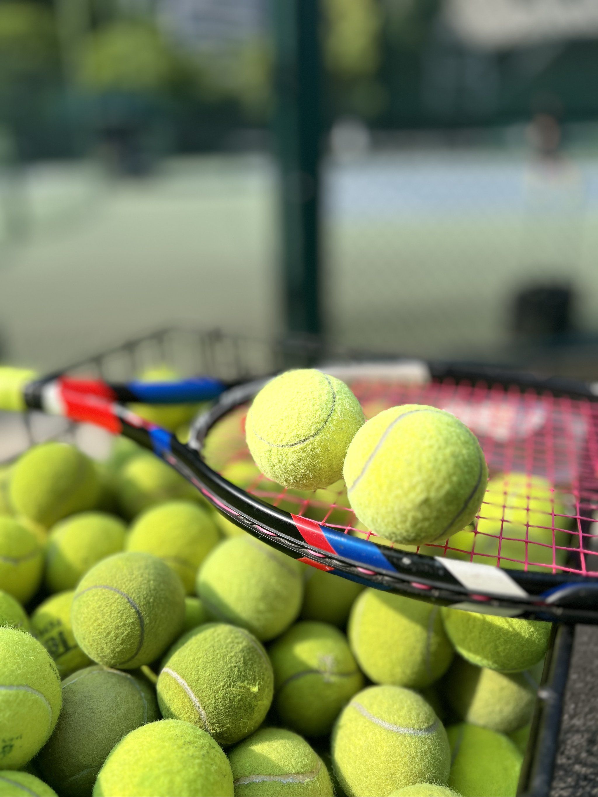 销售量比去 销售量比去